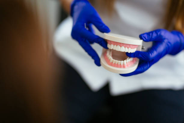 Trusted Elkins Park, PA Holistic Dental Care Services Experts