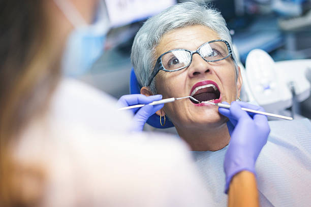 Best Teeth Whitening  in Elkins Rk, PA